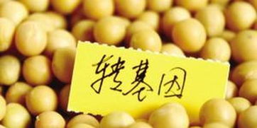 俄罗斯严格管制转基因食品 违法生产和进口将面临罚款